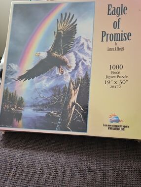 SunsOut Eagle Of Promise By James A Meger Jigsaw Puzzle 1000 Pieces